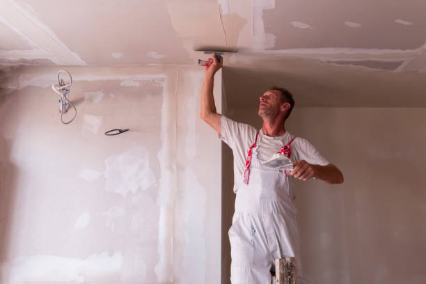 Best Drywall Sanding and Smoothing  in USA